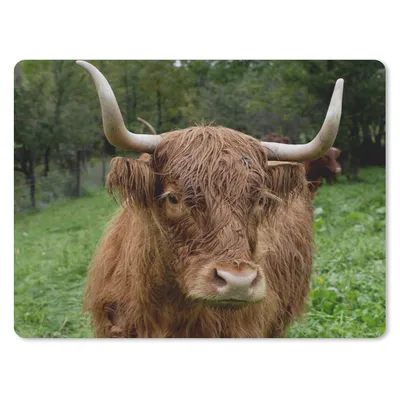 Produktbild von MuchoWow® Mauspad Mousepad Schottische Highlander - Tiere - Gras 23x19 cm - Mousepads - Maus Mat - Pad - Mausunterlage - Schreibtischunterlage - Mauspad