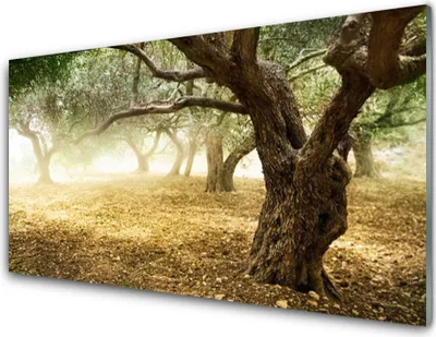 Produktbild von Acrylglasbilder 100x50 Wandbild Druck Bäume Gras Natur