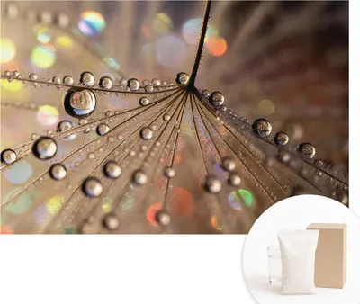 Produktbild von Fototapete - Wandbilder für Wohnzimmer - 104x70 cm - Dekorative Wandfolie - Modernes Design für Wanddekoration - Tapeten für Innenräume - Perlentropfen