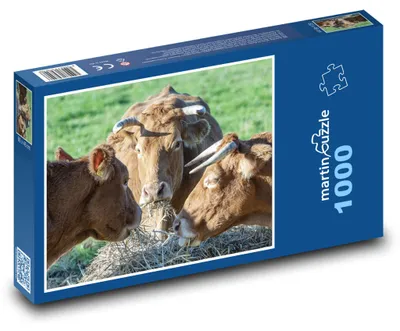 Obrázek produktu pro martinpuzzle - Puzzle 1000 - Krávy