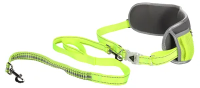 Image de Laisse de Jogging avec Ceinture de Hanches LED pour Chien