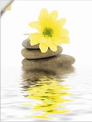 Produktbild von ARTland Wandbild, selbstklebend Zen Spa Steine mit Blumen II Größe: 45x60 cm