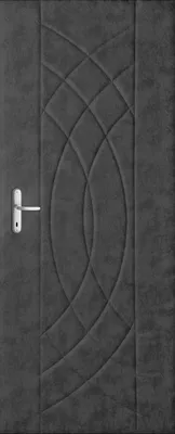 A close-up, front-facing view of a dark gray door with a decorative embossed pattern and a silver door handle.