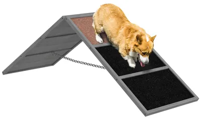Obrázok produktu pre Prekážková dráha pre psov - Agility pre psov - Bežecká dráha pre psov - Dráha pre psov - Nastaviteľná tréningová rampa
