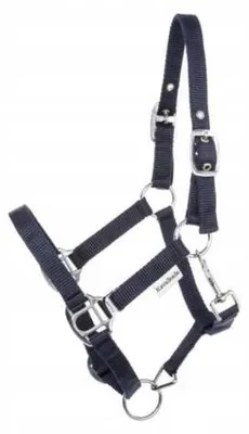 Immagine prodotto di Kavalkade Shorty Halfter, colore blu navy, taglia MINI SHETTY, regolabile in due punti