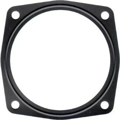 Produktbild von ELRING 876.580 Dichtung Ansaugbrücke für AUDI A6 Avant (4F5, C6) A4 Avant (8ED, B7) A4 Avant (8E5, B6) A6 Limousine (4F2, C6) für VW Touareg