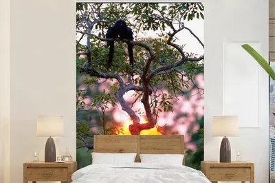 Produktbild von Fotobehang - Hyacinten Ara's bei Sonnenuntergang - Breite 145 cm x Höhe 220 cm
