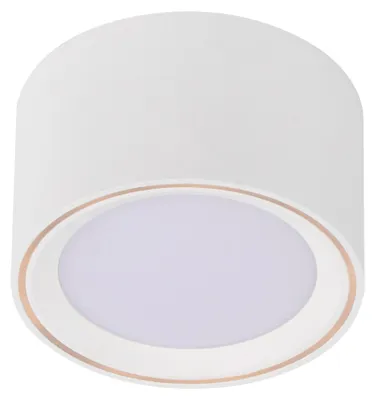 Obrázek produktu pro Povrchové svítidlo Nordlux LED Fallon white 100 mm