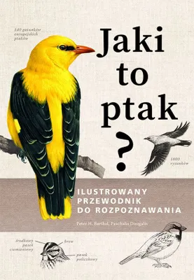 Image de Jaki to ptak? Ilustrowany przewodnik do rozpoznawania gatunków