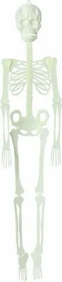 Zdjęcie produktu dla Fluorescencyjna dekoracja szkieletowa na Halloween 150 cm