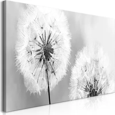 Produktbild von Wandbild Mega XXXL Pusteblume 250x125 cm Einteiliger XXL-Format Kunstdruck zur Selbstmontage Leinwandbilder moderne Bilder DIY Wanddekoration Wohnung Deko Blumen Natur b-B-0223-ak-f