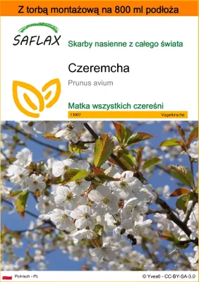 Zdjęcie produktu dla SAFLAX - Garden in the bag - Czeremcha - 10 Nasiona - Z podłożem uprawowym w praktycznej, samorozkładającej się torbie - Prunus avium