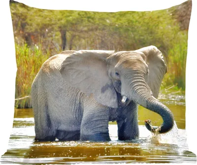 Produktbild von MuchoWow® Zierkissen Sofakissen Wohnzimmer Dekokissen 45x45 cm Elefant - Wasser - Tiere - Natur - Schlafpolster - Polster für das Sofa