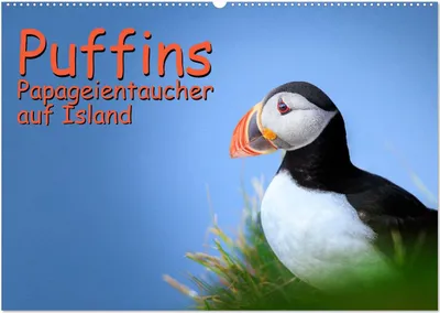 Produktbild von Puffins - Papageientaucher auf Island (Wandkalender 2027 DIN A2 quer), CALVENDO Monatskalender