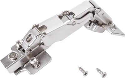 A close-up studio shot of a cabinet hinge and two screws on a white background.