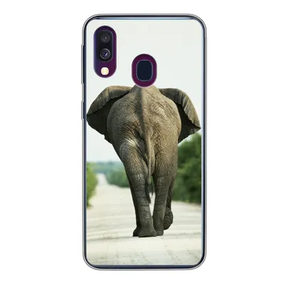 Produktbild von MuchoWow® Handyhülle Schutzhülle Hülle für Samsung Galaxy A40 Elefant - Kröte - Tiere - Natur Silikon Softcase Handy Hülle - Handy-Tasche