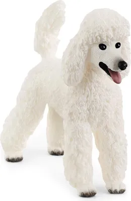 Produktbild von Schleich Farm World - Pudel Hund, Figur für Kinder ab 3