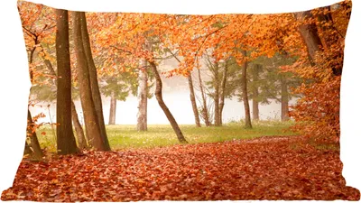 Produktbild von MuchoWow® Zierkissen Sofakissen Wohnzimmer Dekokissen 60x40 cm Blätter - Herbst - Wald - Kopfkissen - Polster mit Foto