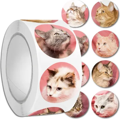 Immagine prodotto di EDIBAZZAR | Adesivi gattino colorato realistico in rotolo 500 pz. Artigianato per bambini