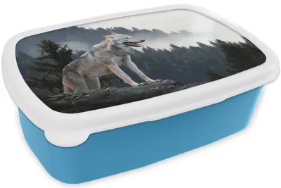 Produktbild von KitchenYeah® Lunchbox Brotzeit Brotdose 17x11 cm Wolf - Tier - Wald Kinder Brotzeitdose - Lunch - Kunststoff  - Brotbüchse - Sandwichbox - Lunchbox für Kinder