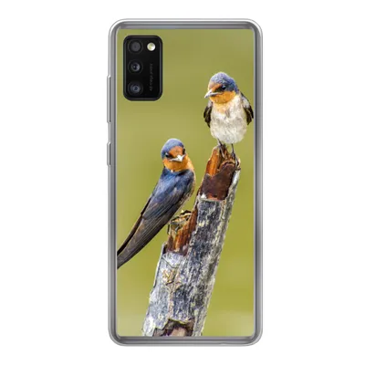 Produktbild von MuchoWow® Handyhülle Schutzhülle Hülle für Samsung Galaxy A41 Vögel - Zweig - Porträt Silikon Softcase Handy Hülle - Mobiltelefon