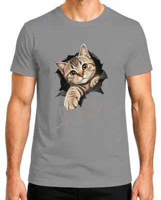 Imagen del producto de Camiseta para hombre con estampado "Hola, gatito lindo", diseño sarcástico, color gris, talla M