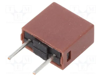Image de 2 x Fusible : Fusible TE5 250VAC 0,315A 883.100 883112. Fusibles TE5 à action retardée