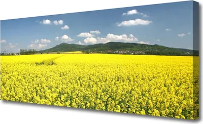 Produktbild von Tulup Leinwand-Bilder 125x50 Wandbild Canvas Kunstdruck Wiese Natur