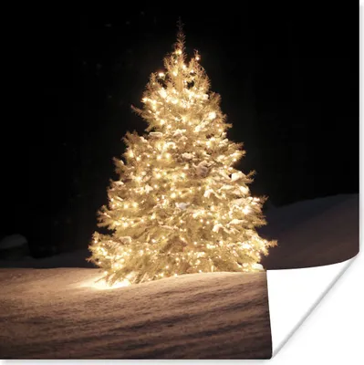 Produktbild von MuchoWow® Poster Ein beleuchteter Weihnachtsbaum bei Nacht 50x50 cm - Wohnzimmerdekoration
