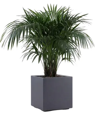 Produktbild von HowHomely Blumentopf Übertopf auf Rollen grau 40x40xh40cm Betonoptik Blumenkübel
