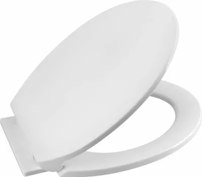 A white toilet seat with the lid up, shown against a white background.