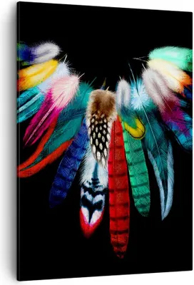 Produktbild von Bild auf Leinwand - Leinwandbild - Einteilig - Vogel Feder Farbe Komposition - 50x70cm - Wand Bild - Wanddeko - Wandbilder - Leinwanddruck - Wanddekoration - Leinwand bilder - Wandbild - PA50x70-2932