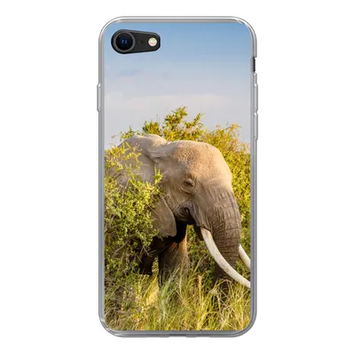 Produktbild von MuchoWow® Handyhülle Schutzhülle Hülle für iPhone SE 2020 Elefant - Tiere - Gras - Grün - Berg Silikon Softcase Handy Hülle - Kartenbesitzer