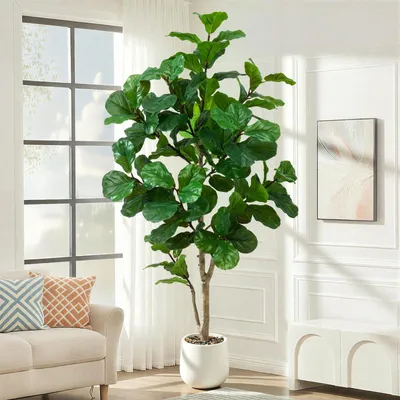 Künstlicher Feigenbaum 7ft mit weißem Topf