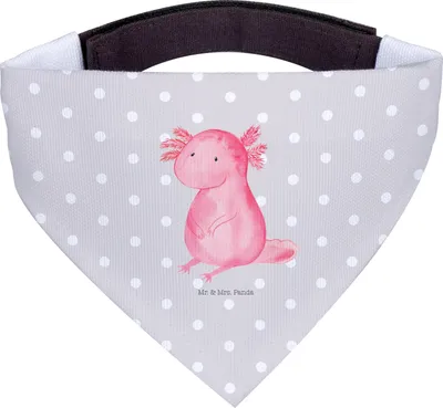 Produktbild von Mr. & Mrs. Panda Halstuch Axolotl Niedlich - Grau Pastell - Geschenk, Weisheit, Für Hunde, Hund, Liebe, Lebensweisheit, Axolot, Hunde-Halstuch, Freundin