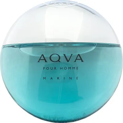 Obrázek produktu pro Bvlgari AQVA Marine Pour Homme toaletní voda pro muže 100 ml