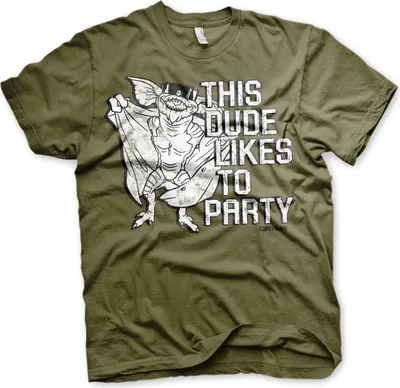 Produktbild von This Dude Likes To Party T-Shirt - Large - Olive