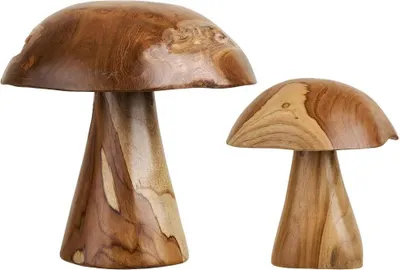 Image de Sille champignons de décoration set de 2 naturels.