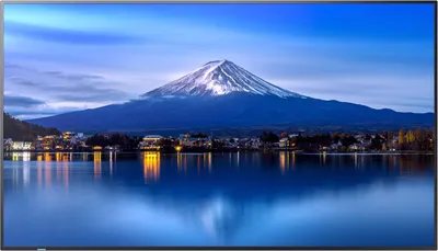 Immagine prodotto di SHARP/NEC MultiSync P656 Design da chiosco 163,8 cm (64,5") LED 700 cd/m² 4K Ultra HD Nero Processore incorporato