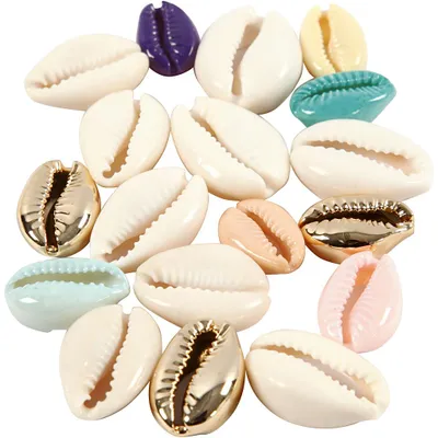 Immagine prodotto di Perle di conchiglia