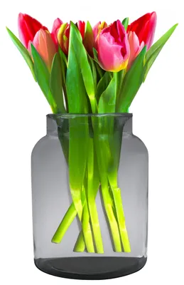 Produktbild von Hakbijl Glass Blumenvase Form - transparent - Okoglas - 19 x 25 cm - Milchkannenvase