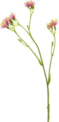 Produktbild von artplants.de Deko Zweig Petunie YAWEI, rosa-Creme, 60 cm - Künstliche Blume