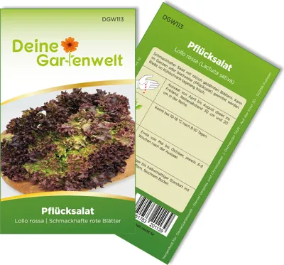 Produktbild von Pflücksalat Lollo rossa Samen - Lactuca sativa - Pflücksalatsamen - Gemüsesamen - Saatgut für 100 Pflanzen