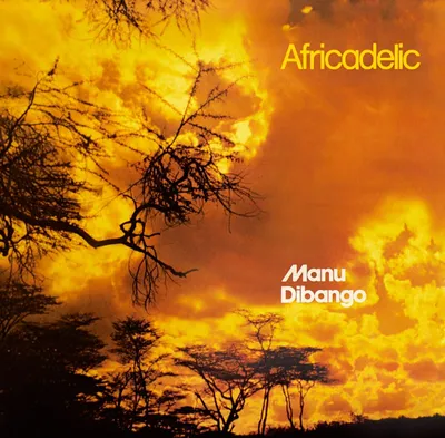 Obrázek produktu pro Manu Dibango (1933-2020): Africadelic