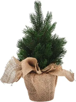 Immagine prodotto di Albero da decorazione natalizia in sacco di iuta 30 cm