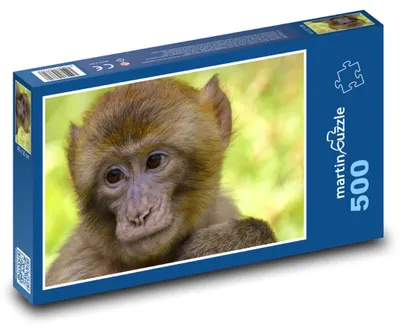 Zdjęcie produktu dla martinpuzzle - Puzzle 500 - Makak w zoo