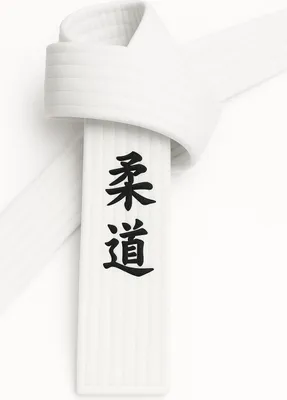 Produktbild von Ju Jutsu Gürtel Weiß bestickt - Ju Jutsu Schriftzeichen japanisch - Weißgurt mit Kanji Bestickung - 220 cm Länge