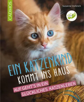 Image de Ein Katzenkind kommt ins Haus