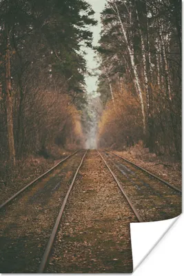 Produktbild von MuchoWow® Poster Bahnstrecke - Weg - Wald - Baum 40x60 cm - Plakate für die Wand - Poster Babyzimmer