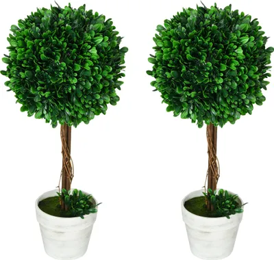 Produktbild von Künstliche Buchsbäume 2er-Set mit Kunstmoos und Übertopf, 60 cm Grün